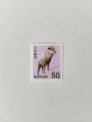 50�~�؎�@1���@50�~��