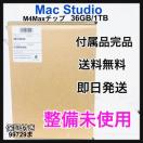 �������g�p Mac Studio M4 Max �`�b�v 36 GB/1 TB