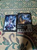 I[o[[h@11 Rl̍H@Ł@Blu-rayt