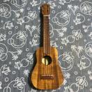  Ceniza T&K Zj[U RA RT[gEN nC