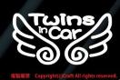 Twins in CarVg̉HXebJ[oq(et)xr[CJ[