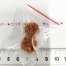 25*�t���|�R��|���|�����`�[�t�@19