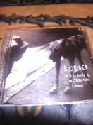 佐野元春トリビュートCD,川村カオリ、プレイグス