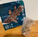 �[�C����