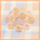 �y�f�R�p�[�c�z���ىԌ`���I�����W�n�N���A�ɃV���o�[���������v14����1.1cm���A�N������