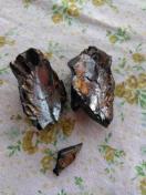 ���A�@�G���[�g�V�����K�C�g�@���΁@����