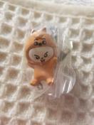 Stray Kids  SKZOO  �K�`�� Leebit