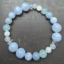 �u���[���[�X���A�N�A�}�������G���W�F���C�g �V�R��