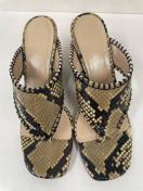 �T���_��