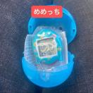 ���܂������@�V���J�V���J�`���[���@�K�`��