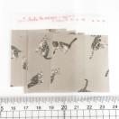 �����䎆�����OPP�܁@4���@24