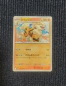 �E�B���f�B�@�|�P�����J�[�h�@���P�b�g�c�̉h��