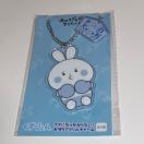 ̃NYĂ肽񂾁NY҂AN`[u[