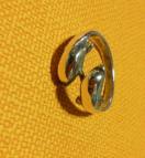 �V���o�[�����O  �C���J 13.5��