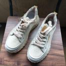 Vi 25cm fB[X Xj[J[ O[W V[Y C 