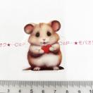 �R���[�W���V�[���@�o�����^�C���@261