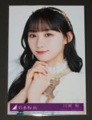 �T�؍�46�@�`�����X�͕����@���ʐ^�P���@����