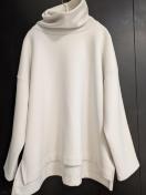 ���v�V�B�����v���I�[�o�[���ߗށ�LEPSIM������600�`