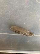 ���^���W�O�@1/2�I���X