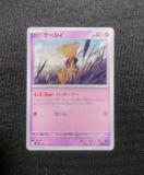 �|�P�J�@�ό��̉��ʁ@�P�[�V�B