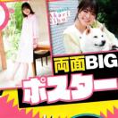 丹生明里(日向坂46)両面BIGポスター