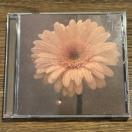 yԂ͍炭vWFNgzuԂ͍炭v