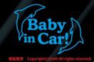 Baby in Car/XebJ[(CJ14cm)F