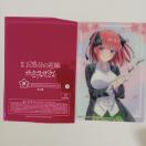 ���� �f�� �ܓ����̉ԉ� �T�N���T�N P�� �u���C���h�R���N�V�����V�[�g ��T