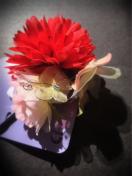 Ut[&wAANZT[yVigpz l EFfBOuC_