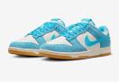 ��NIKE DUNK LOW SE��