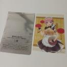 �ܓ����̉ԉ� ������ ���w�������X L�� �u���C���h�R���N�V�����V�[�g ���