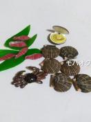 �C�N�n�E�z�^�e�E�I�E���E�~�j�`���A�E�܂Ƃߔ���