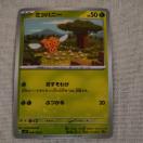 �~�c�n�j�[ ��