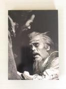 �w���E�}���`���̒j�x�T�C������p�l���ʐ^�I