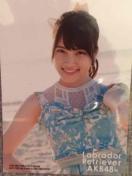 激安!☆ラブラドールレトリバー/通常盤生写真☆AKB48.入山杏奈☆