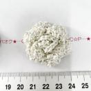 31*�n���h���C�h�􃌁[�X���̊����K�N���`�[�t�@15