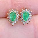 �i�`�������G�������h�X�^�b�h�s�A�X�@�����s�A�X�@100���V�R�@�i�`�������@��΁@�A�N�Z�T���[   Yu_4845