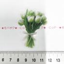 �`���[���b�v�̃R���[�W���V�[���@338