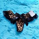 GJbBBB^tTobNBBBqEBB[XBB{BBBpeB[BBV[cBBB