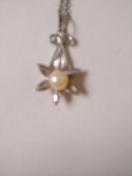 中古品 ネックレス チャームの大きさ約2p