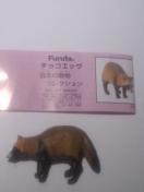 ^kL(K)`RGbO@{̓ڸ//Cm