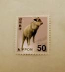 50�~�؎�@1��