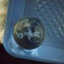 ���j�[�R���̃K���X�̋���