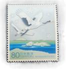 ���ʗX�֐؎�@80�~�@�|�C���g�����@���z��������