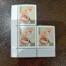 �|�C���g�����ɁI�@�؎� 30�~�@3���@�~�j���^�[��