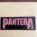 90N㓖@PANTERA /  SXebJ[@pe@wBbN
