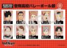 ハイキュー!! 特典「選手名鑑風ブロマイド」