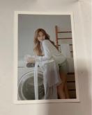 TWICE �c�E�B�@�����|�X�g�J�[�h�@Yes I am �@