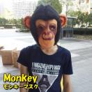 L[}XN  }XN T L[ `pW[