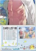 vg[fBOJ[h71@Puzzle Card/List-08